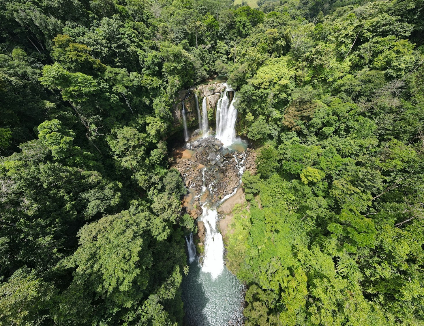 Consejos para elegir la guía perfecta en la naturaleza